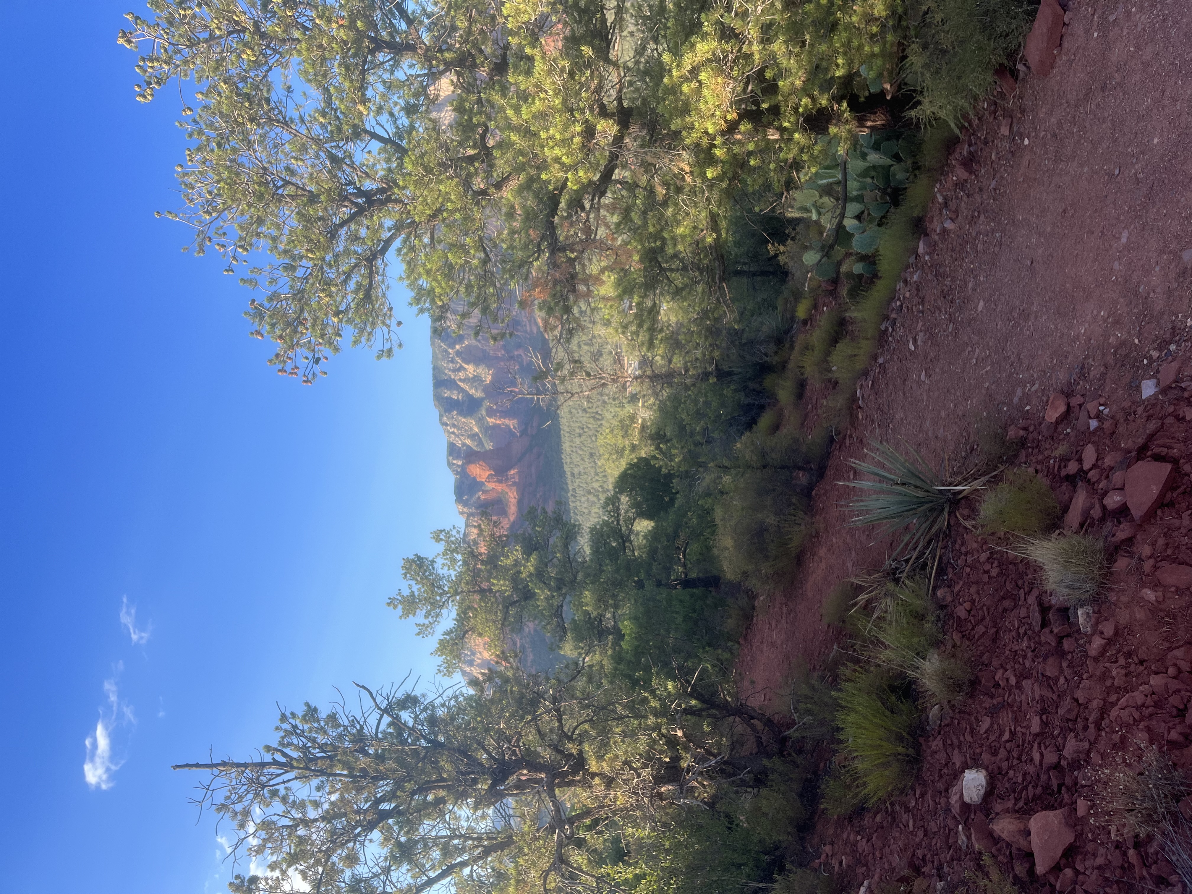 Grasshopper's Trail Hiking Sedona Arizona 